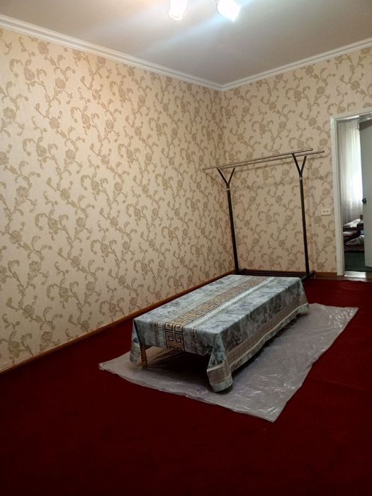 4 ta aqlli va ozoda qizga kvartira bor. Faqat talabalarga.