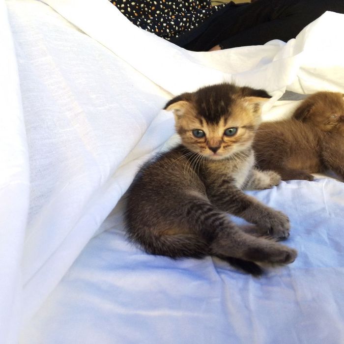 Сотилади срочна арзон нархларда‼️