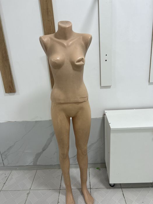 Арзан багада берип жиберемин