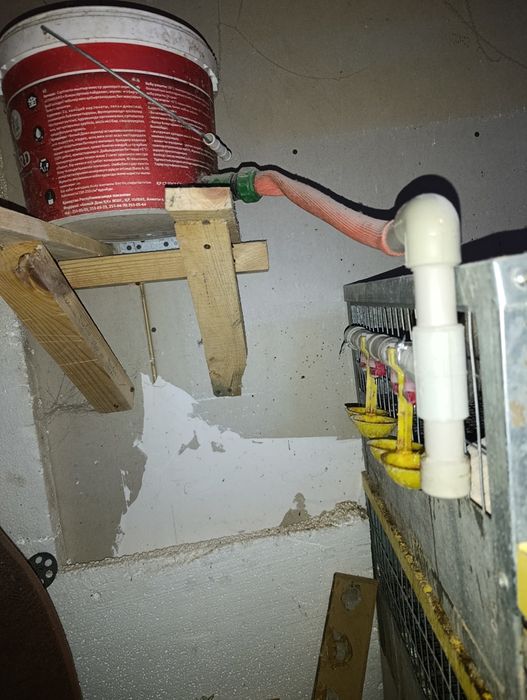 Клетка для перепелок