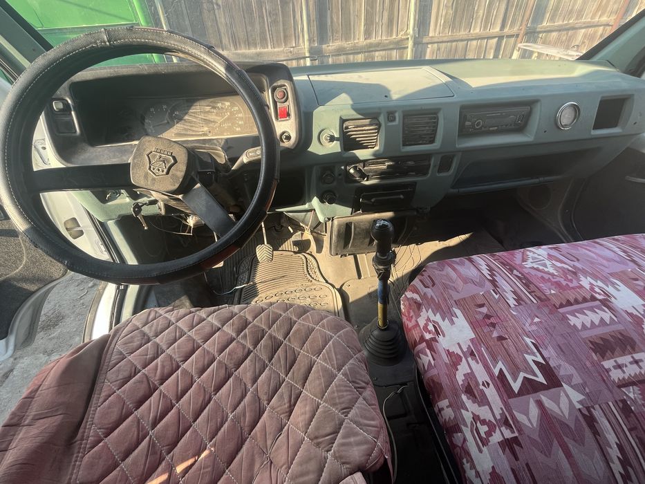 Газель в хорошем состаяний