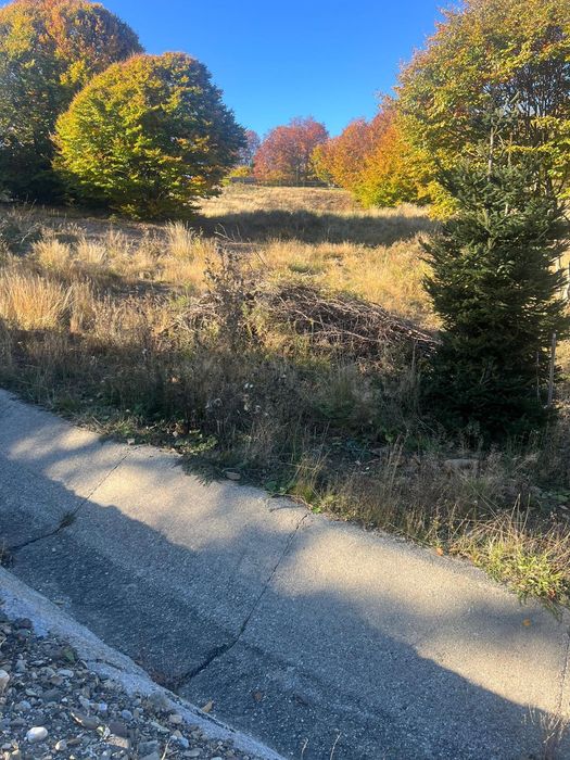 Teren Budești Maramures