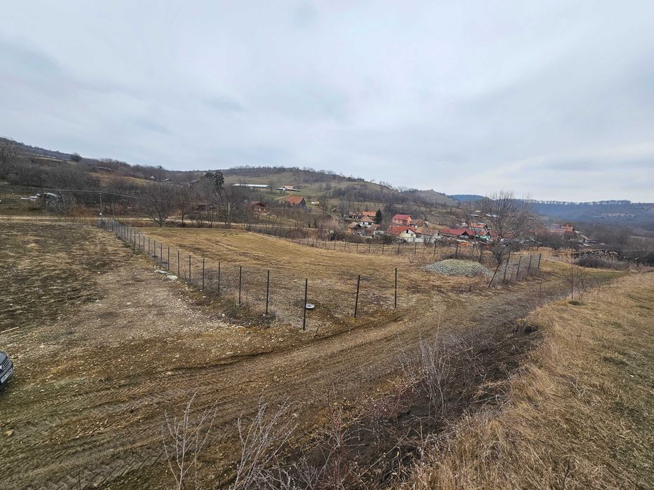 Teren intravilan Hamba