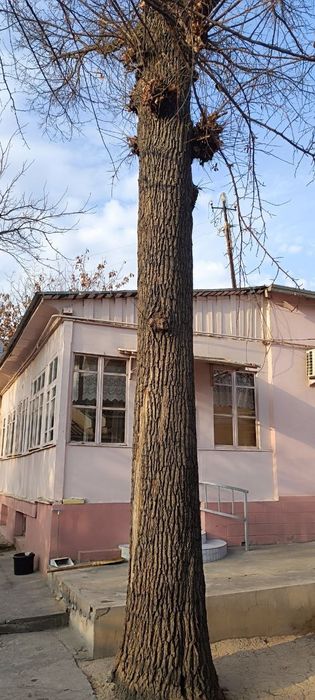 Продаётся участок в самом центре Ташкента