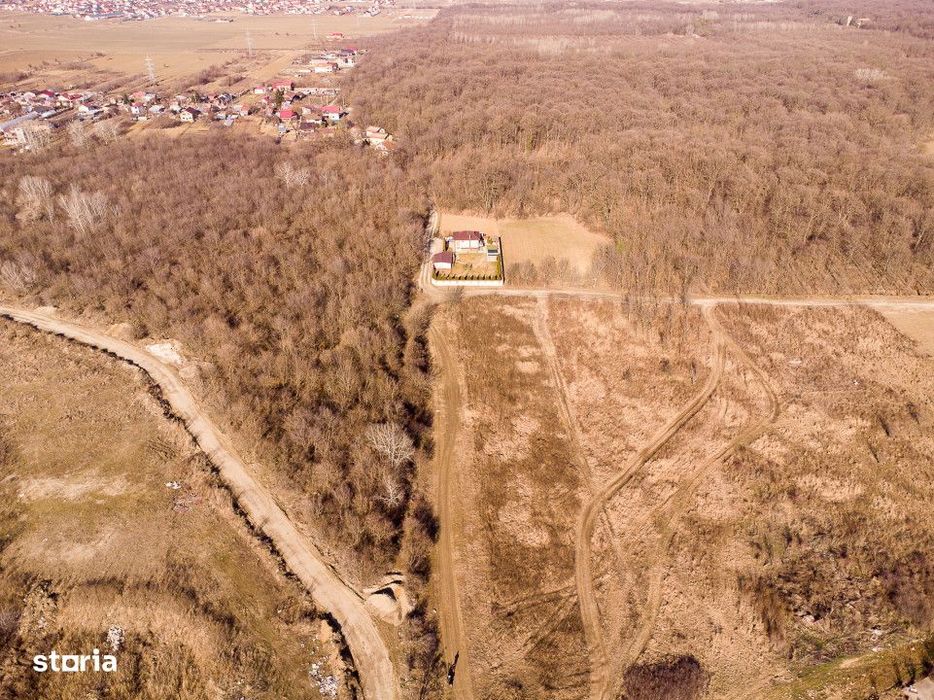 Teren intravilan Magurele langa padurea Cornetu si Arges