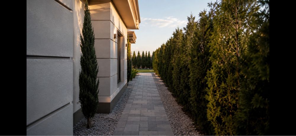 Vand casa cartier Premier -Vladimirescu -Arad
