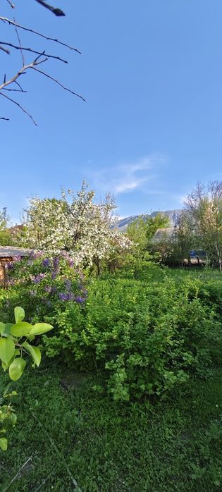 Продам дом на тихой улице