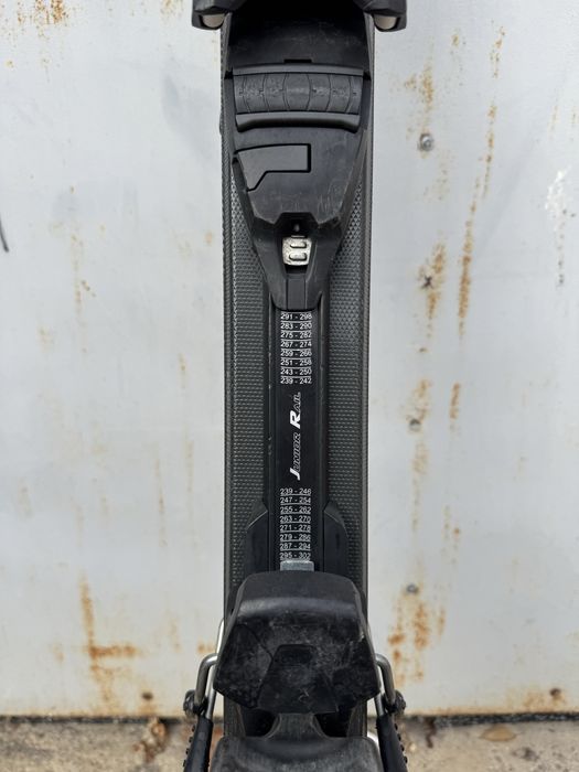 Ски + обувки + щеки