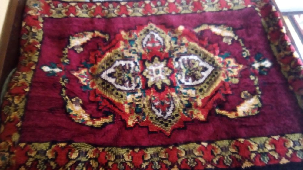 китеници - нови