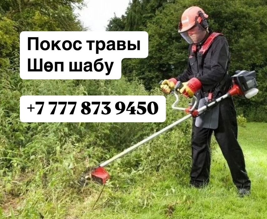 Покос травы/ Шөп шабу