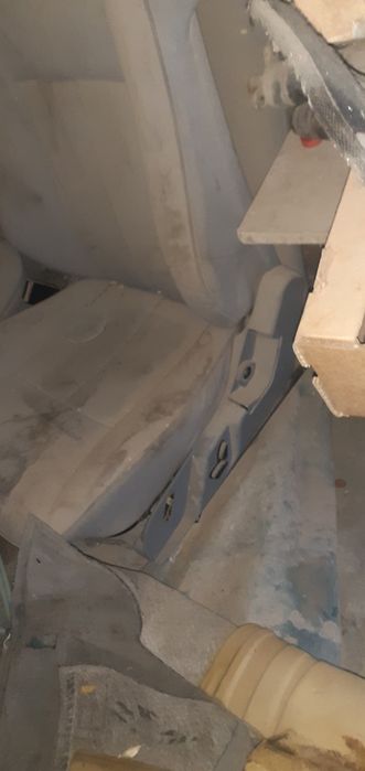 Салон лупарика вилур