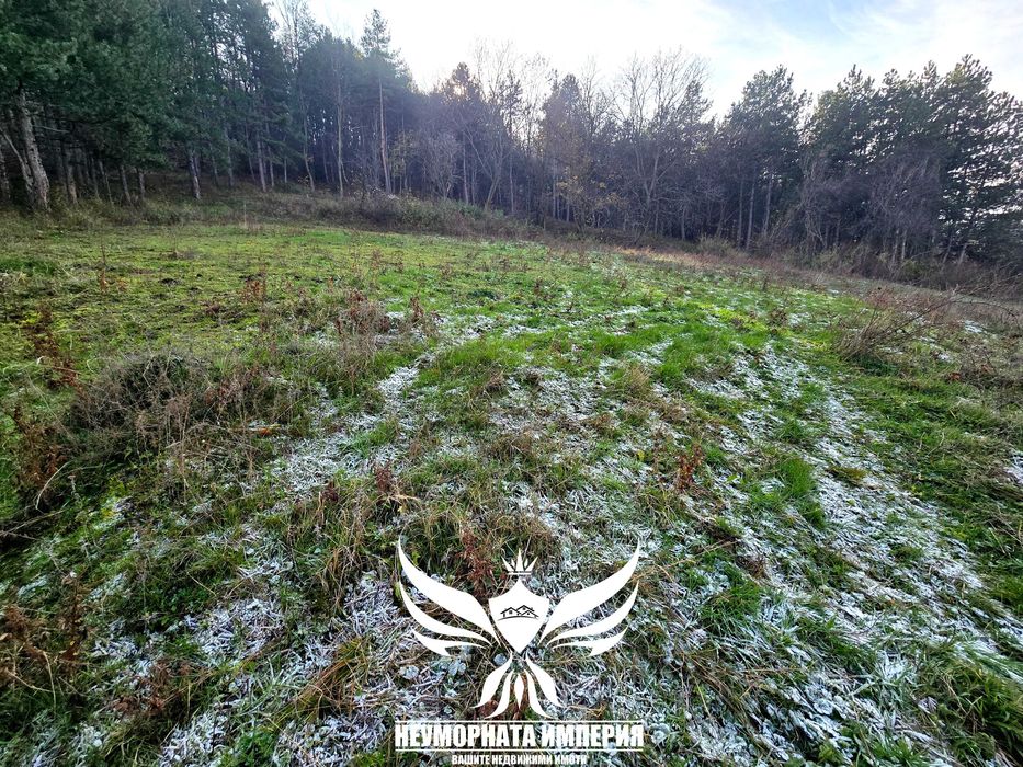 Продава се Парцел в с. Тополово, Област Пловдив - 1280 кв.м за 22 €/кв.м - Снимка #7