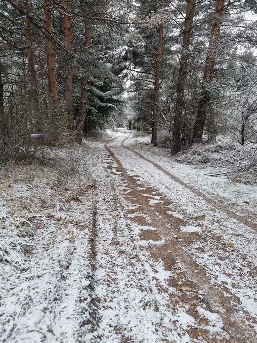 Продава ПАРЦЕЛ до в.з. Ярема