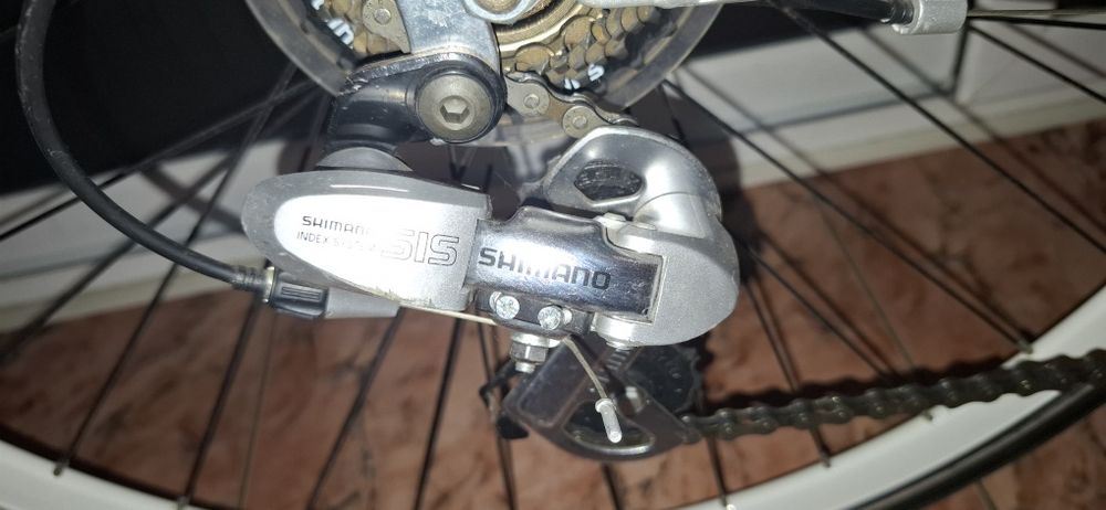 Cursieră Raleigh