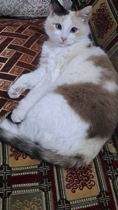 Чудо ищет семью! Девочка