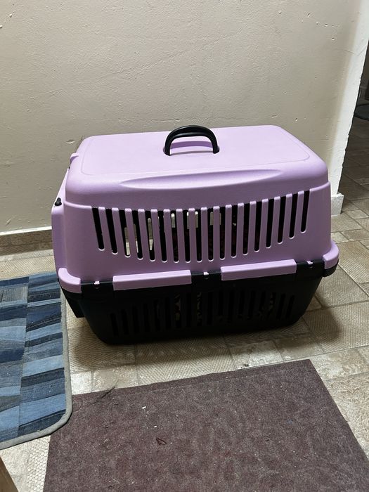 РЕЗЕРВИРАНО ДО 21.02 Котка всичко за 100€ прочети описание