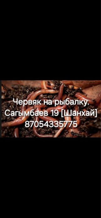 Черви червяк на рыбалку!!!