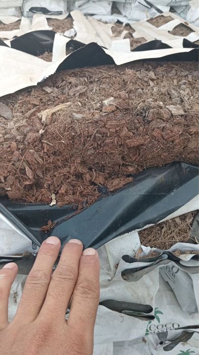 Продается Кокопит Kokopit sotiladi Cocopit ishlatilgan.