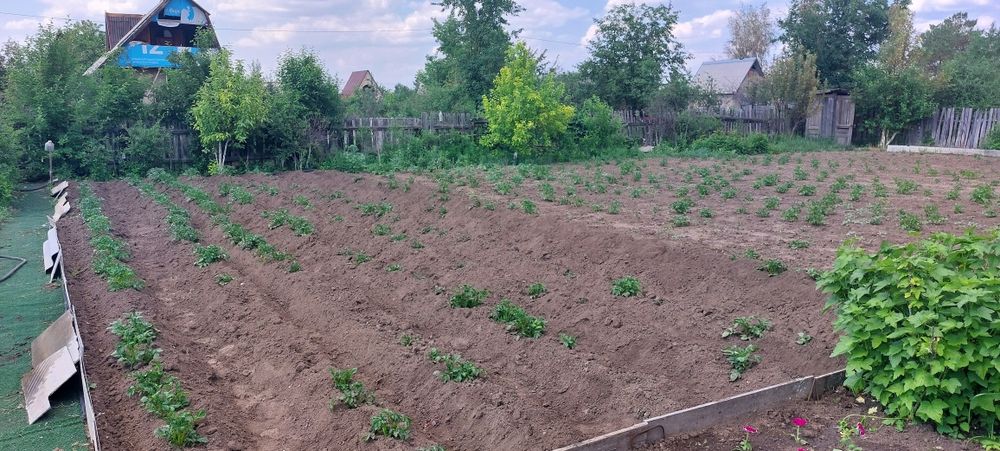 Дача на федоровке