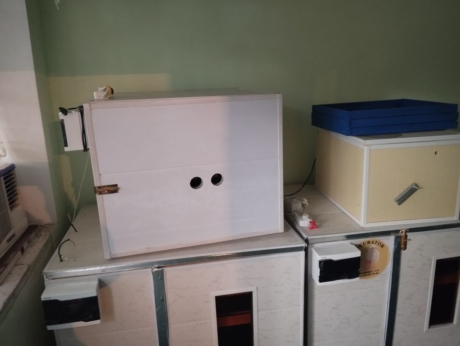 Инкватор сотилади 340 талик