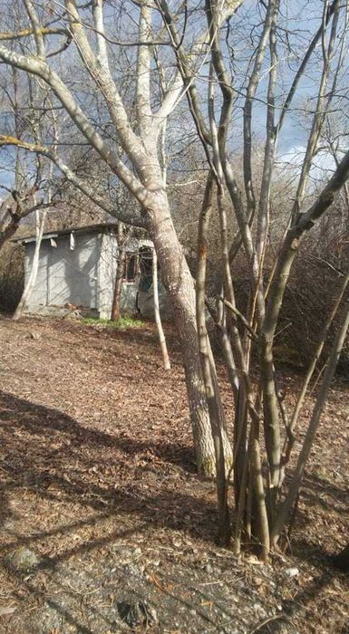 Продава се Парцел в с. Поцърненци, Област Перник - 660 кв.м за 29 €/кв.м - Снимка #2