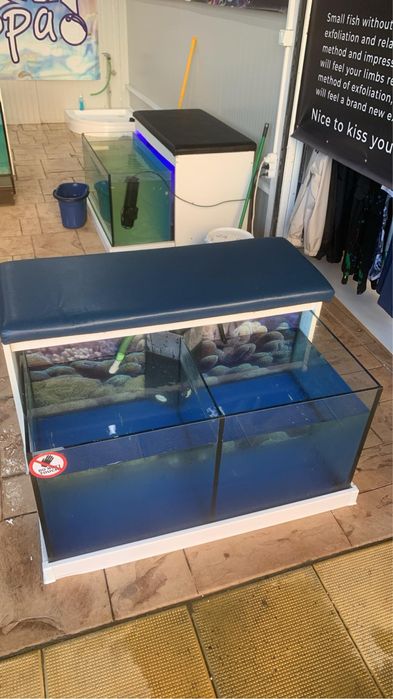 Аквариуми Garra rufa Spa