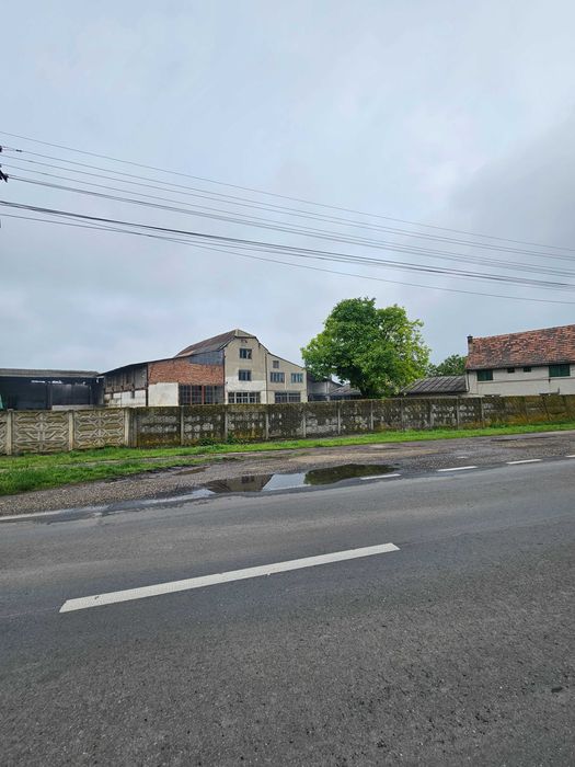 Casa, spatiu comercial, vad comercial, 7000 m², service auto, agro