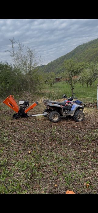Servicii întreținere curți și grădini | Gazon | Tăieri copaci | Curățare terenuri | Garduri