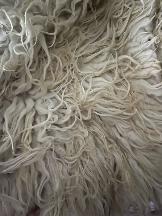 Родопско вълнено халище с дълъг косъм