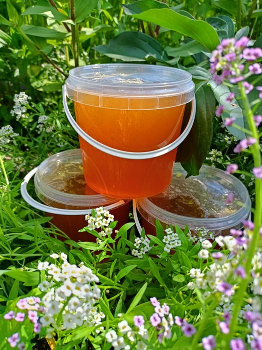 Мёд с личной пасеки 2700тг