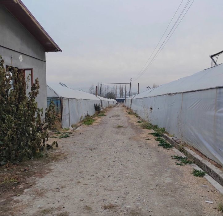 Готовый агробизнес: тепличная ферма в Назарбеке