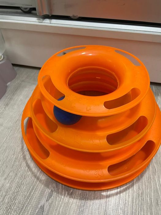 Отдам кошку срочно