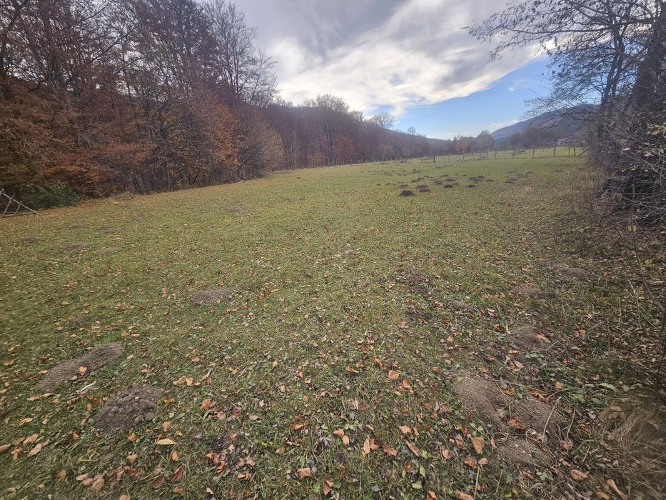 Teren  Valea Doftanei