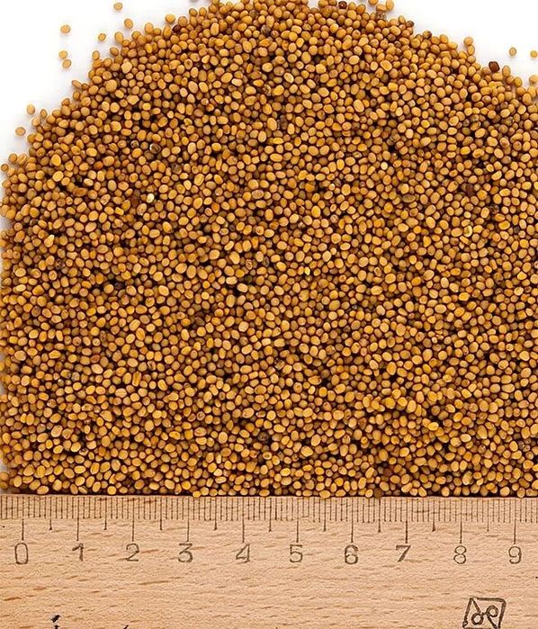 Ячмень.Платный чат!Все корма.