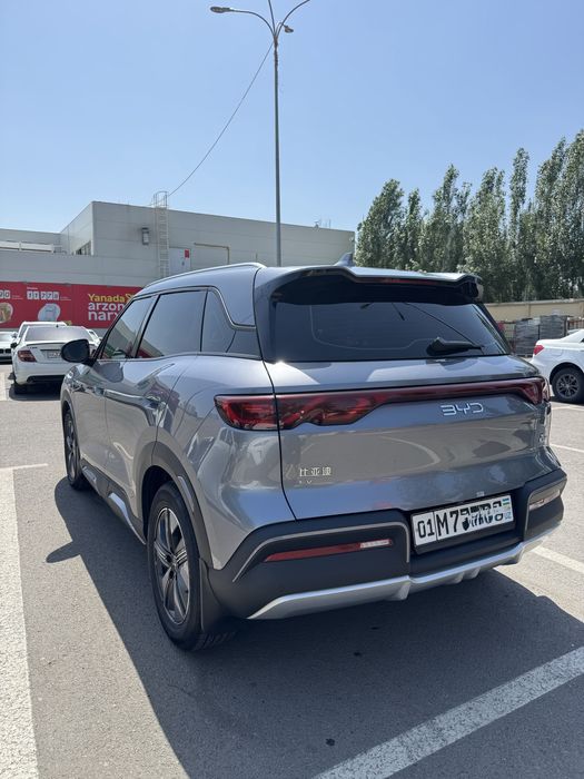 BYD yuan up 2024