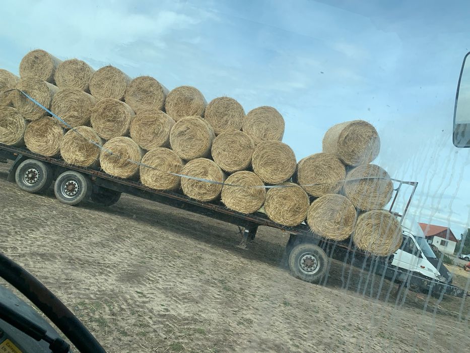 Rezervati din timp baloti de paie 120/120 legati cu plasa