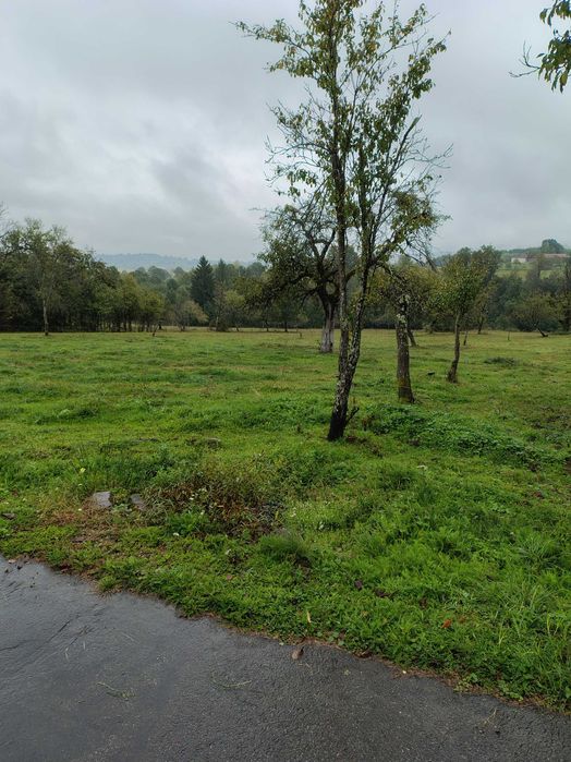 Casă cu teren 2 hectare intravilan