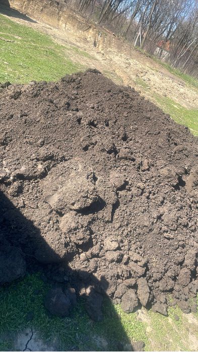 Nisip /piatra/ tavalug tasare  gazon / pamant gazon / gunoi ciuperci/