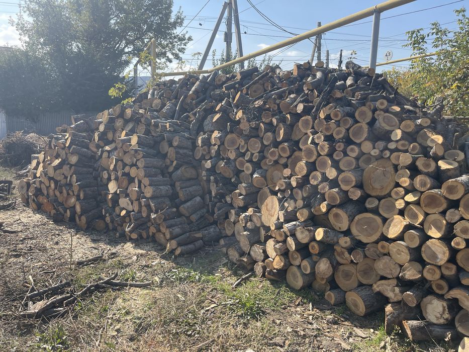 Продам дрова яблоня.