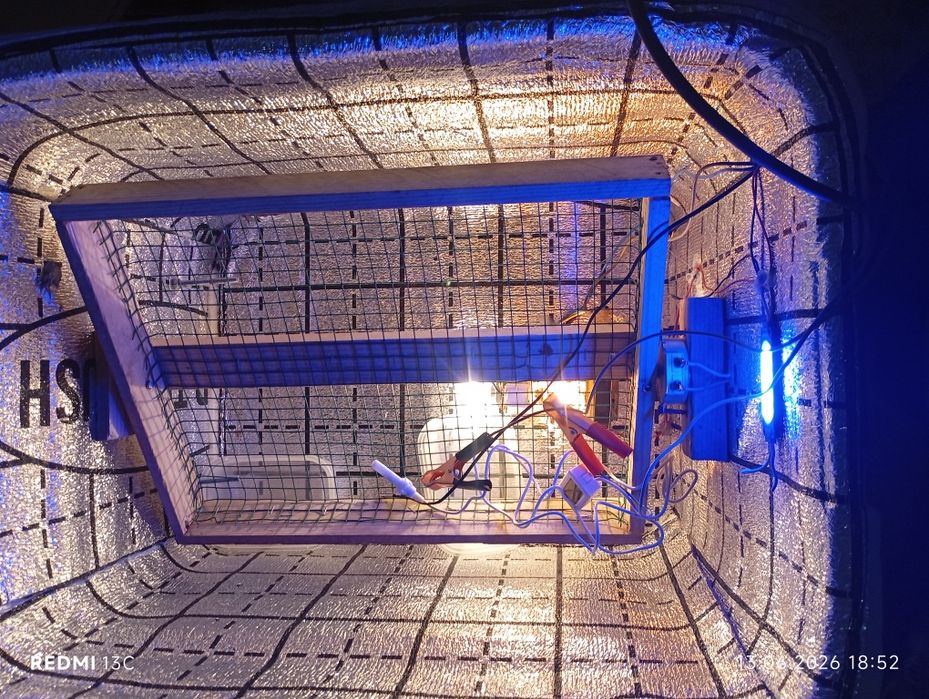 Инкубатор 60 маек