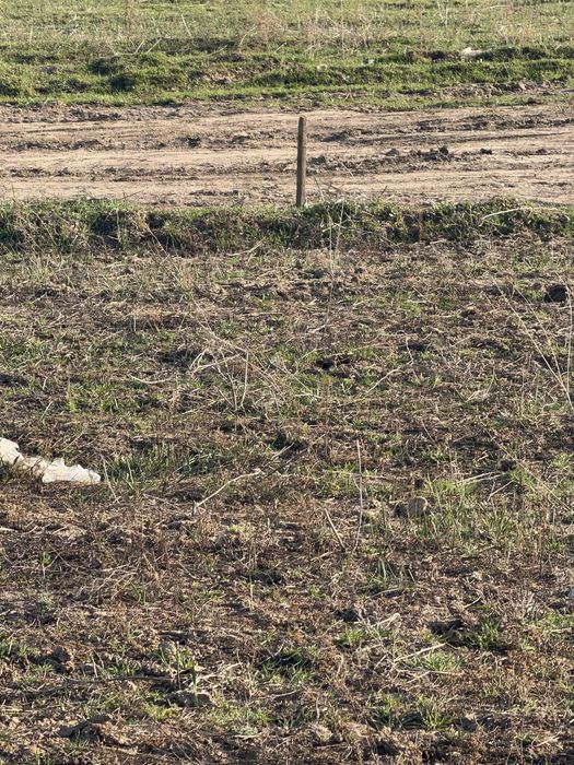 Продам участок 5 соток