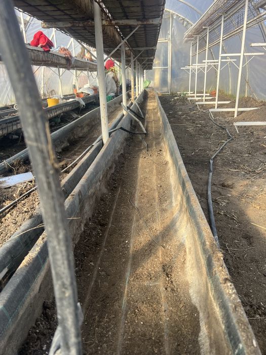 Structura metalica cu ghivece