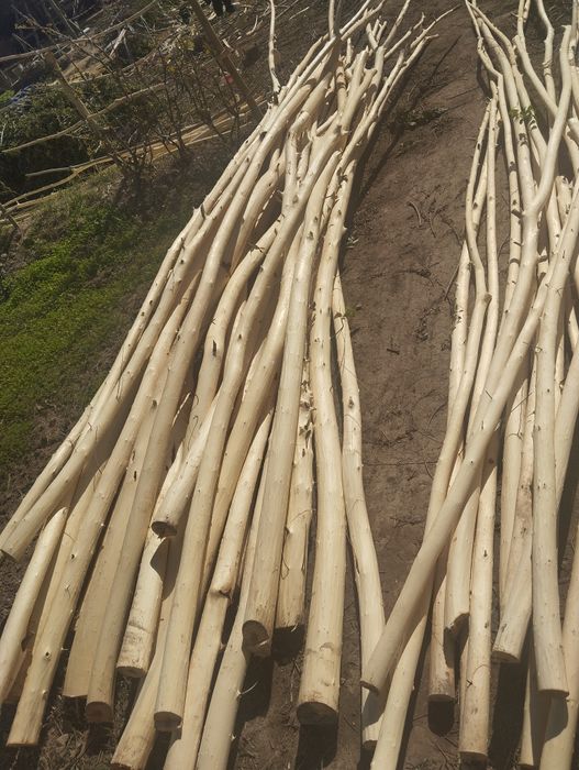 Совит хадалари сотилади ириси 25 мингдан медаси 15 мингдан