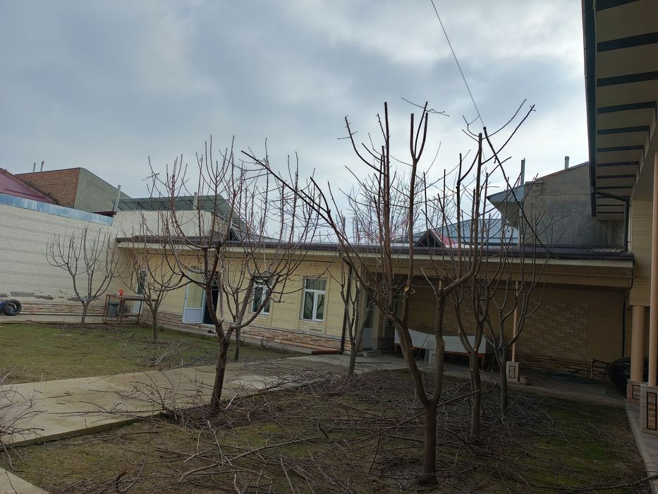 Toshkent shahri bo'ylab yer xaydash va chopish xizmati