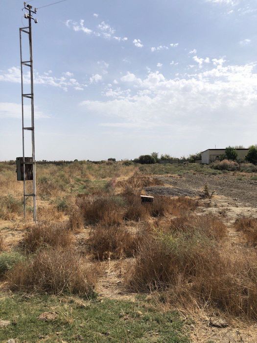 Oqoltinda yer uchastka sotiladi