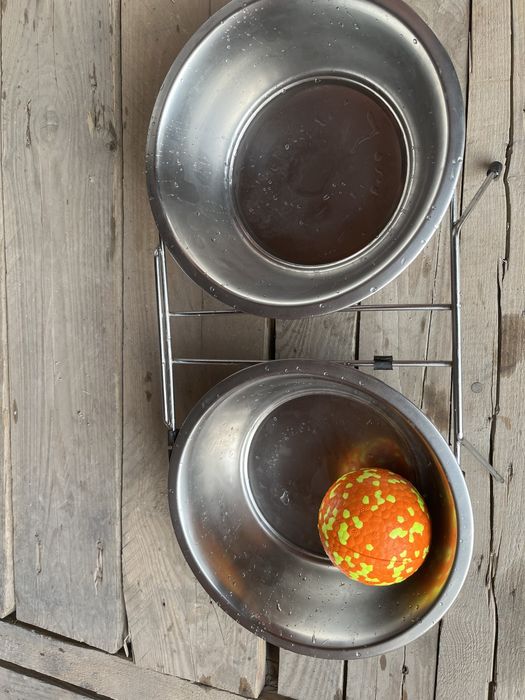 Для  своего питомца