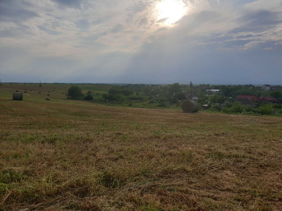 Teren Dudestii Noi - 642 mp