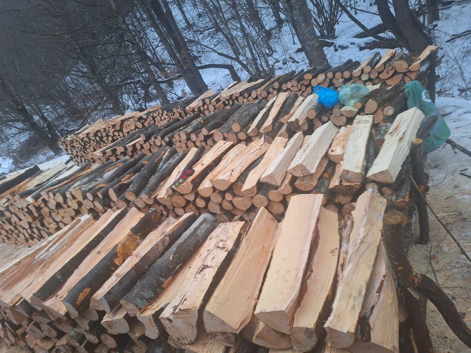 Lemn de foc fag fasonat