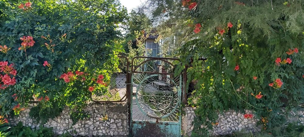 Vand casa veche in centrul localitatii Vladeni