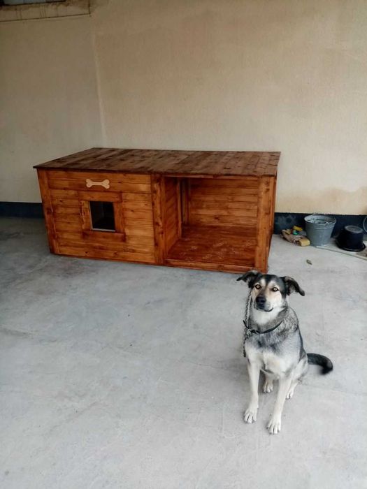 Будка с верандой.